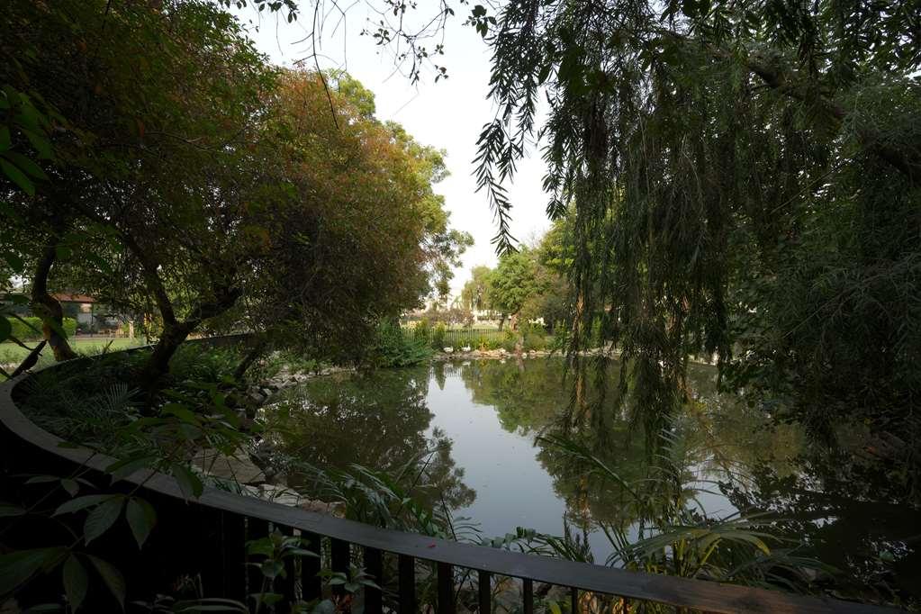Best Western Resort Country Club Гургаон Экстерьер фото